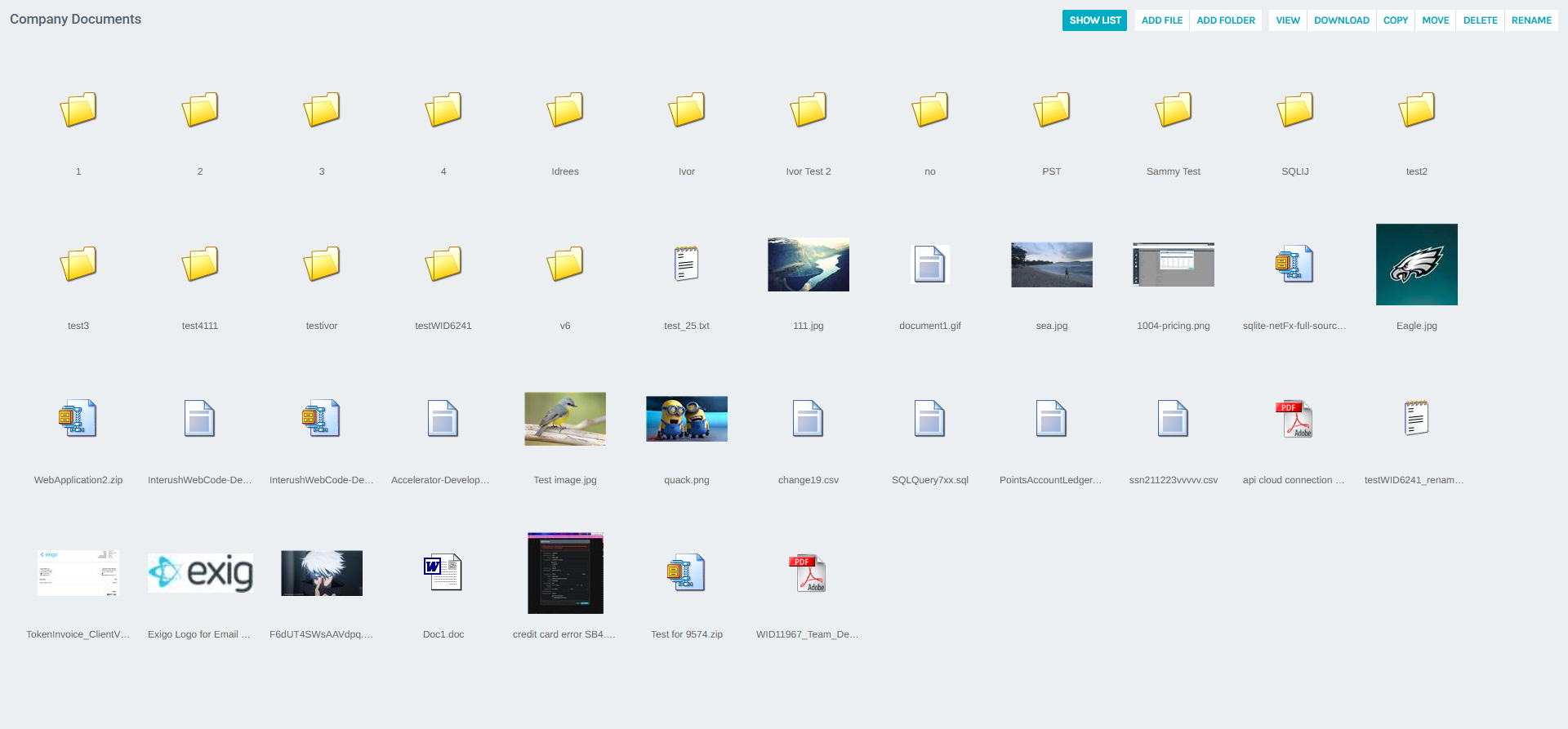 Company Documents – Thumbnails